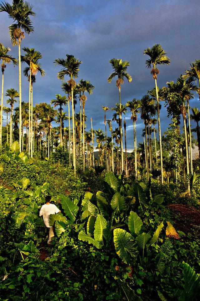 30歲小夫妻看盡世間百態「辭工作賣房」赴世外桃源!「隱居深山」養馬劈柴相愛到老