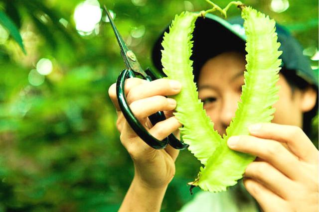 30歲小夫妻看盡世間百態「辭工作賣房」赴世外桃源!「隱居深山」養馬劈柴相愛到老