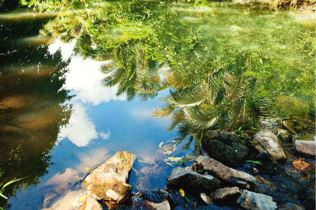 30歲小夫妻看盡世間百態「辭工作賣房」赴世外桃源!「隱居深山」養馬劈柴相愛到老