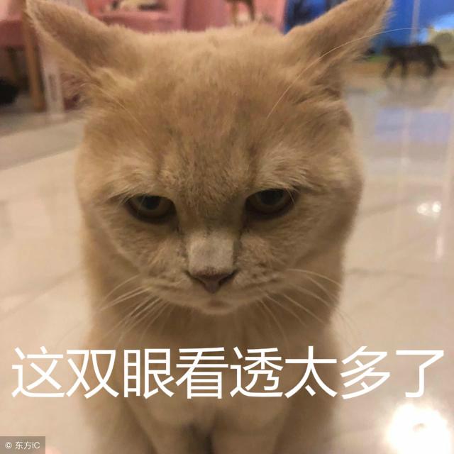 許世勛走後留下「上千億遺產」！李嘉欣每月爽領「巨額零用錢」網：給我十分之一就知足了