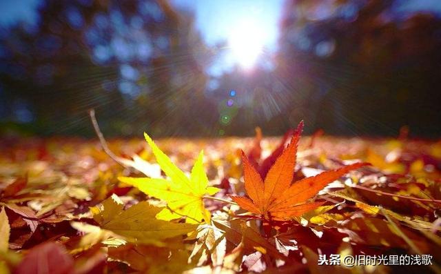 人生，沒有下輩子！今生相遇即是緣，且行且珍惜！