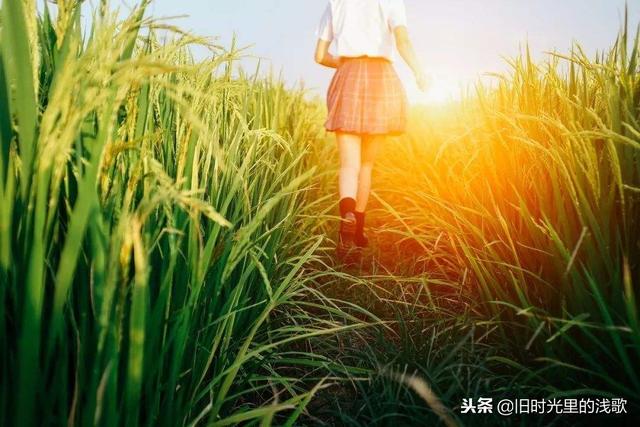 人生，沒有下輩子！今生相遇即是緣，且行且珍惜！