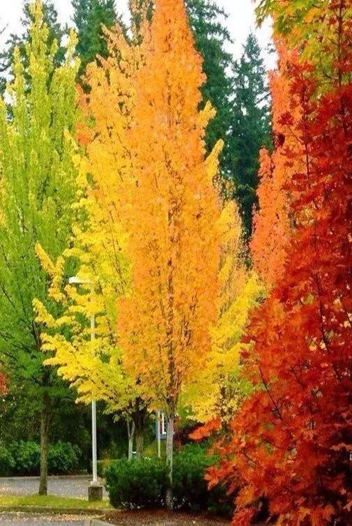 「52張世界級照片」看遍萬年奇觀！每張都太刺激，太壯觀了