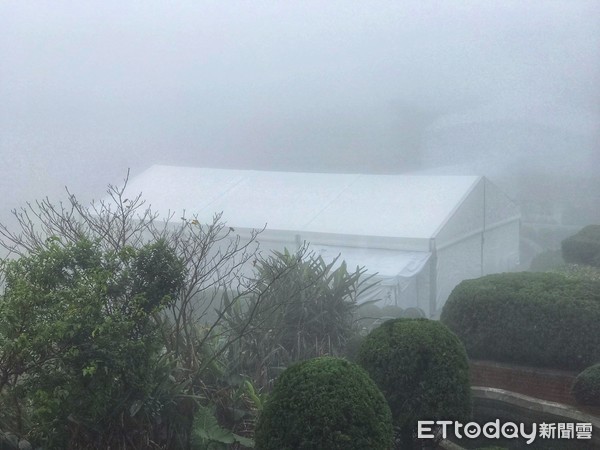 嚴凱泰低調悄悄下葬！入土為安「長眠於父母身旁」孝心感人　白綾帝王帳眾人不捨雨中送行