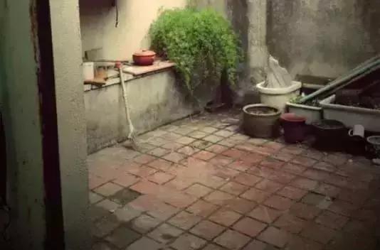 沒人看好的「陳年老房破院」！她只「用了一招」一家3口住成陽光別墅