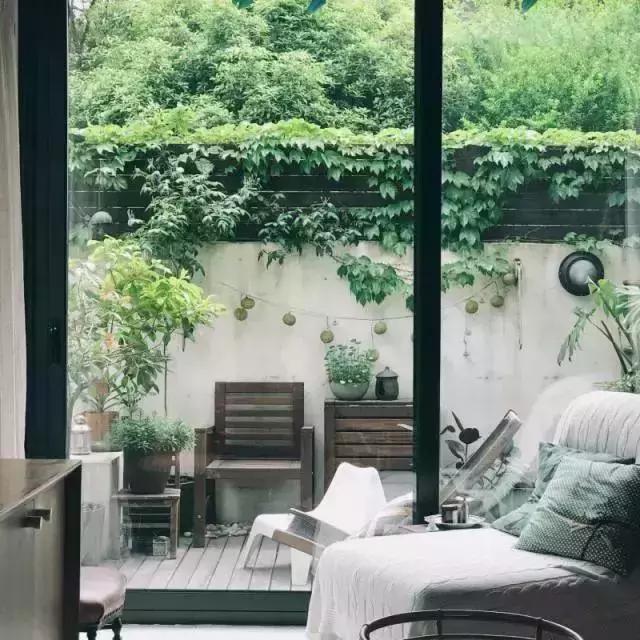 沒人看好的「陳年老房破院」！她只「用了一招」一家3口住成陽光別墅