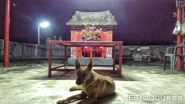 惡靈纏身不肯退！女子半夜「被白光臉孔嚇哭」收驚也無用  土地公「飄香現身2次」保佑順利
