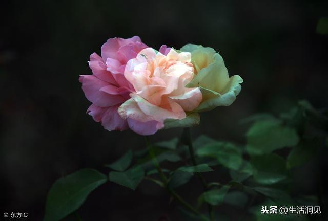 人到中年，堅持做好三件事，幸福自然來