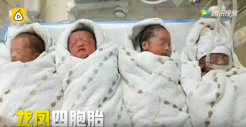 70萬分之一的幸運！媽媽產下「罕見龍鳳四胞胎」  一次湊到「兩個好」爸暖喊： 生活再難也不願放棄