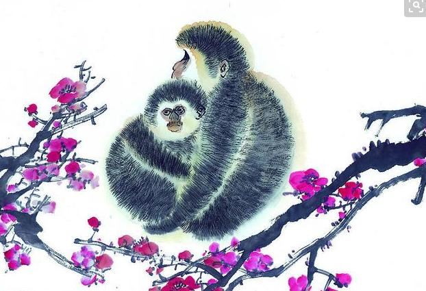 2019年12生肖幸運顏色， 新年穿對了 ， 財運旺旺一整年