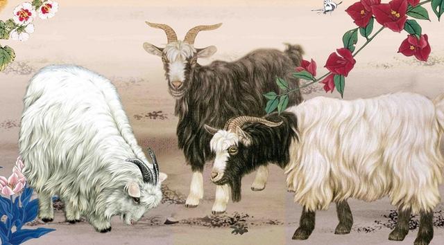 2019年12生肖幸運顏色， 新年穿對了 ， 財運旺旺一整年