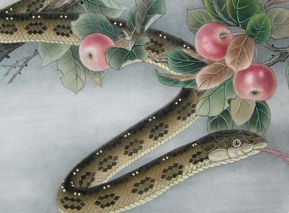 2019年12生肖幸運顏色， 新年穿對了 ， 財運旺旺一整年