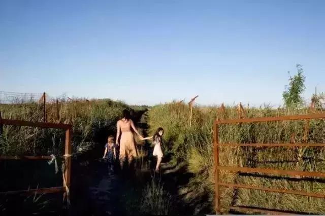 40多歲帶8小孩20隻狗「隱居鄉間」！和丈夫自給自足「活成神仙家庭」：城市並不適合每個人