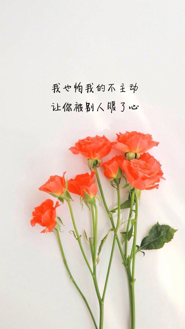 左眼沒有見過右眼一面，不懂安慰，只懂陪它落淚…