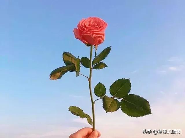 女人，懂得取悅自己，才會有人更珍惜！