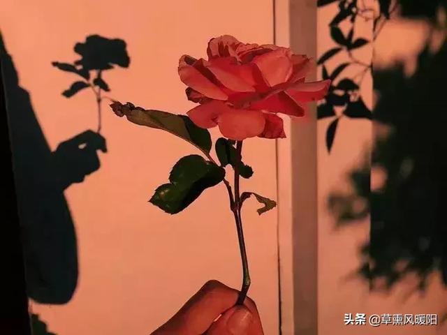 女人，懂得取悅自己，才會有人更珍惜！