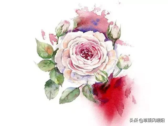女人，懂得取悅自己，才會有人更珍惜！