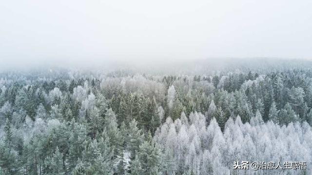 人與人之間最好的關係，就是「保持距離」（深度好文）