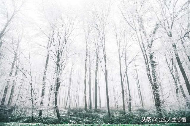 人與人之間最好的關係，就是「保持距離」（深度好文）