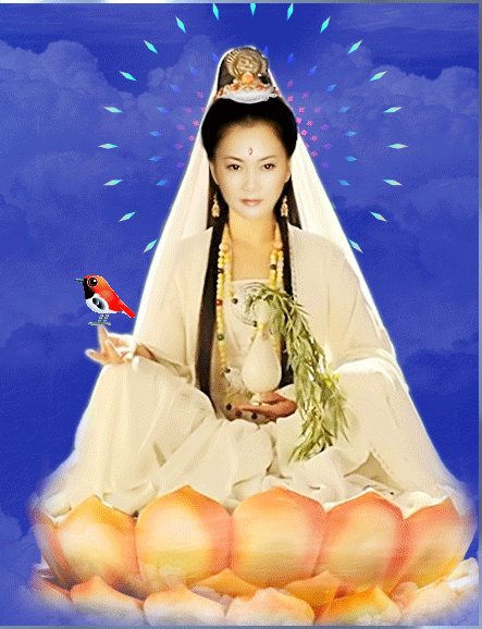  早上好！「如果你最近感到不順」那來接觀音福氣吧　「保佑你好運來」又順又發財