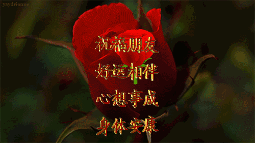  早上好！「如果你最近感到不順」那來接觀音福氣吧　「保佑你好運來」又順又發財