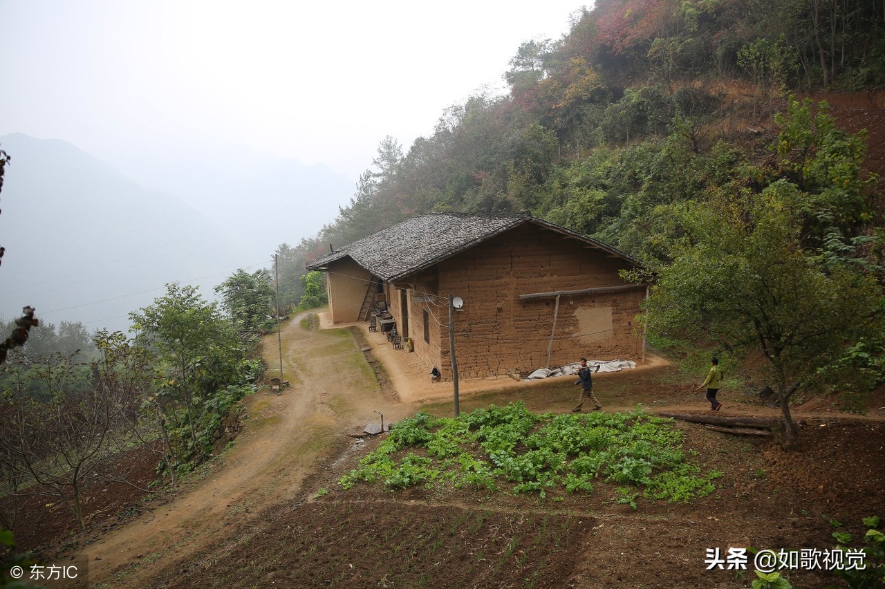 夫妻倆隱居深山無鄰居，靠山吃山飲山泉吃野菜，年入45萬不寂寞！