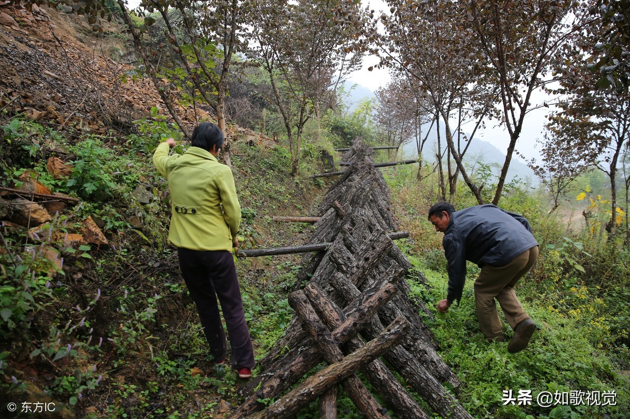 夫妻倆隱居深山無鄰居，靠山吃山飲山泉吃野菜，年入45萬不寂寞！