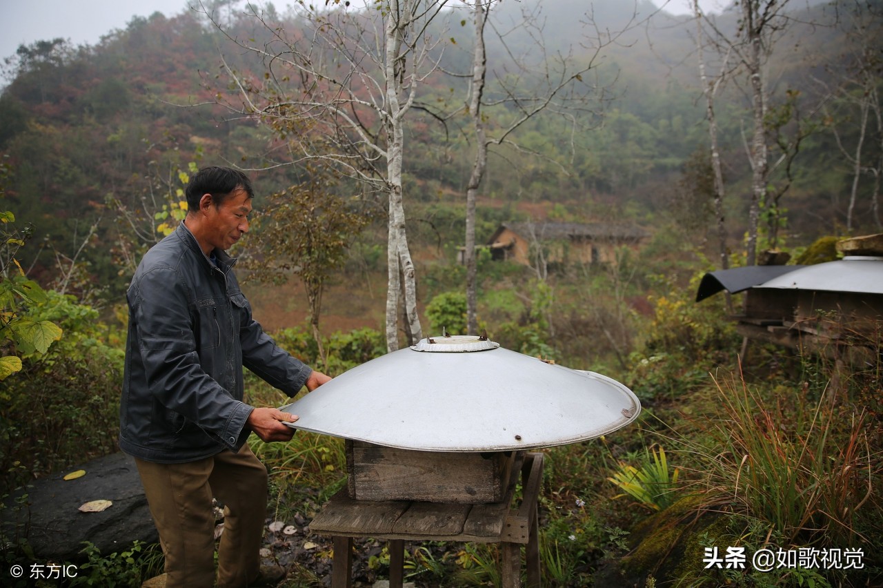 夫妻倆隱居深山無鄰居，靠山吃山飲山泉吃野菜，年入45萬不寂寞！