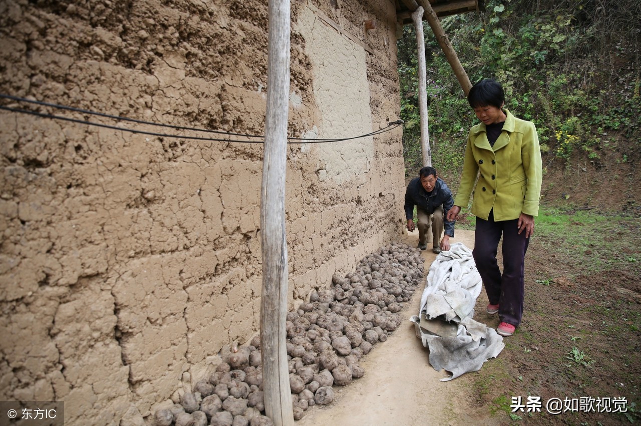 夫妻倆隱居深山無鄰居，靠山吃山飲山泉吃野菜，年入45萬不寂寞！