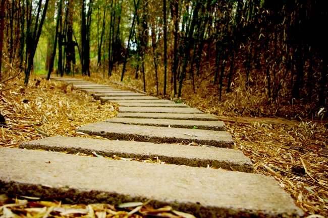 人生的路，好與不好都得自己走… 人生，就是一種感受、一場歷練、一次懂得