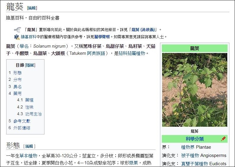 一鍋粥讓人想哭！她好奇問網友「歐迪啊粥是什麼？」　南部人秒懂「回憶全湧上來」：阿嬤的味道