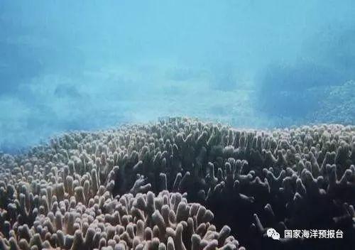 發現世界最深神秘海洋藍洞！「深度超過300公尺」漁民一看：當年孫悟空拔走定海神針