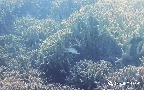 發現世界最深神秘海洋藍洞！「深度超過300公尺」漁民一看：當年孫悟空拔走定海神針