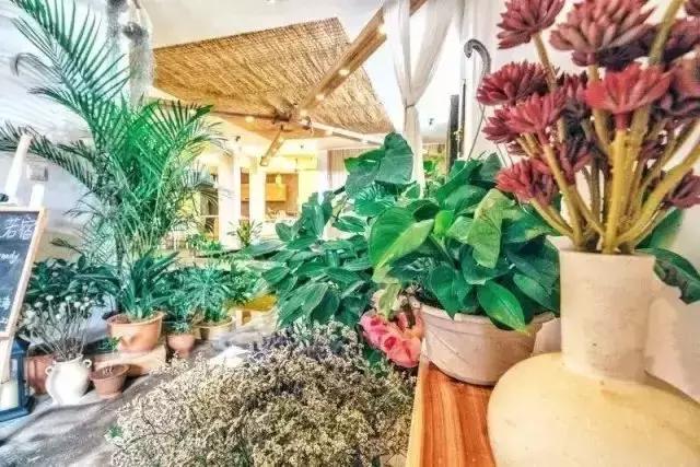 放棄都市生活！小夫妻在鄉村半山腰共築愛巢「打造151坪清幽民宿」路過旅人捨不得走