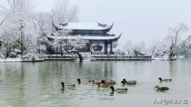 年底了，該為今年做個總結！獻給「幫過我的貴人」： 謝謝你們出現在我生命