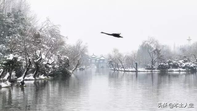年底了，該為今年做個總結！獻給「幫過我的貴人」： 謝謝你們出現在我生命