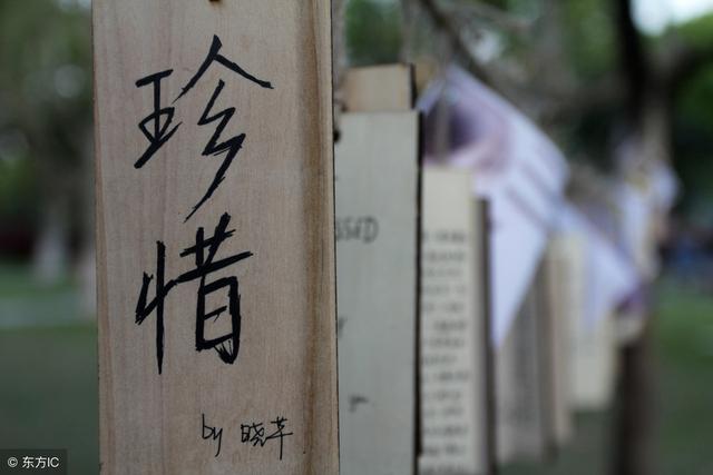 請善待，每一個遇見；珍惜，每一份情緣！