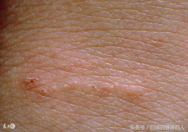 大太陽準備曬棉被了！那曬完被子真的有「太陽的味道」嗎？專家告訴你事實「那味道來自蟎蟲」