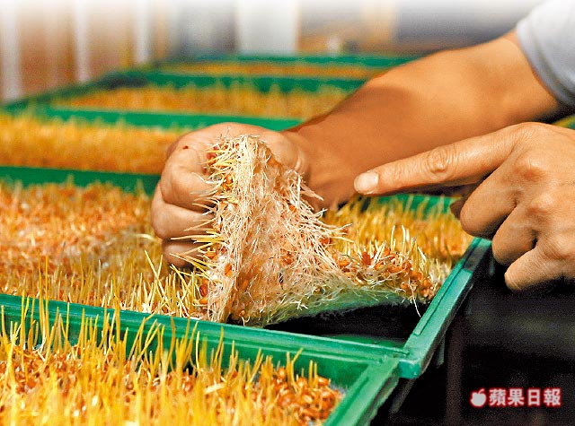 大義滅親3度送兒進牢！父母探監「一個月頭髮全白」浪子痛哭醒悟：下輩子還要當他兒子