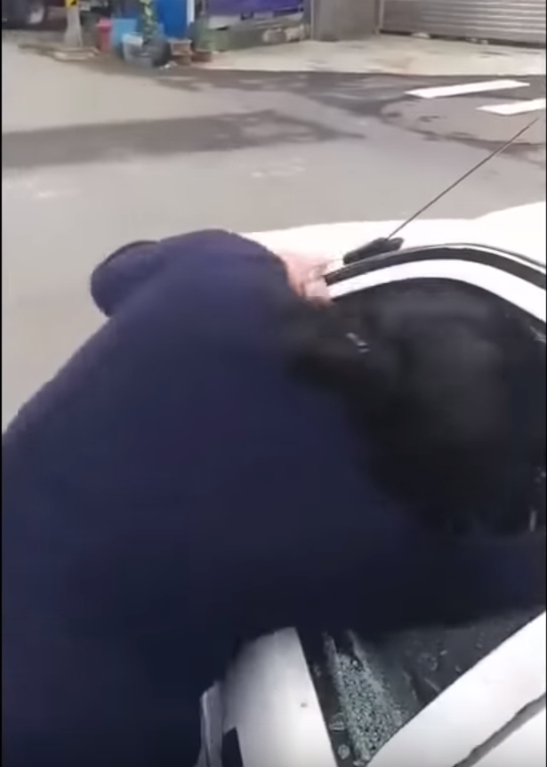桃園大力女「一秒徒手拆車」開嗆：泥知道我是誰嗎？　車主傻眼「只好叫警察來」最後下場曝光
