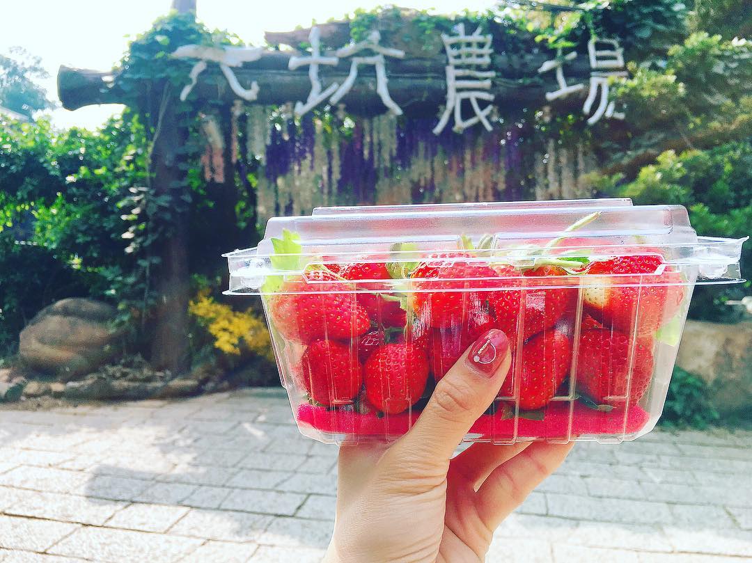 不用飛日本！台灣仙境級「35公尺紫藤花海隧道」美翻　私房景點曝光「白天夜晚風情不同」宛如童話
