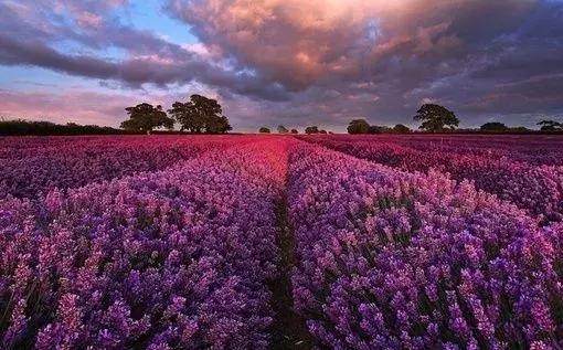 用純粹的愛戀「半世紀守候」!她守到世上「最淒美的情書」:盼來生相認