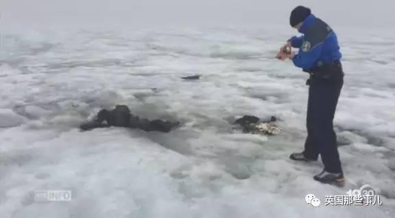 用一生尋找！「爸媽失蹤75年」7個孩子被送養  「年年回家盼望奇蹟」沒想到出現在雪山上...