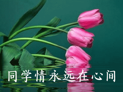 致所有老同學：一輩子真的很短，趁我們能聚就聚吧！有些話我想親自跟你說