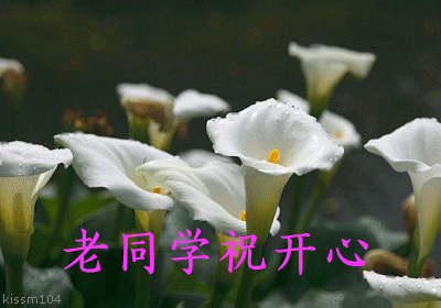 致所有老同學：一輩子真的很短，趁我們能聚就聚吧！有些話我想親自跟你說
