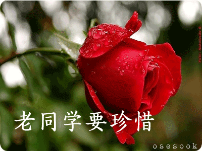致所有老同學：一輩子真的很短，趁我們能聚就聚吧！有些話我想親自跟你說