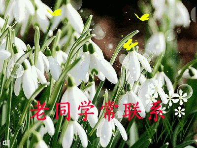 致所有老同學：一輩子真的很短，趁我們能聚就聚吧！有些話我想親自跟你說