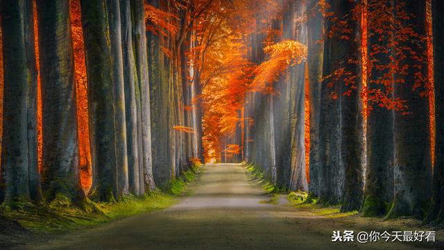 謹記！發脾氣是本能，控制脾氣是本領…真正的教養是「脾氣永遠不大於本事」