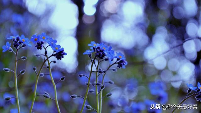 謹記！發脾氣是本能，控制脾氣是本領…真正的教養是「脾氣永遠不大於本事」