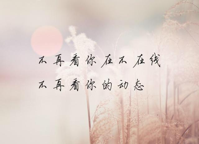 10句話惹人心疼！所有的眷戀，都是因為相欠(句句刺心)